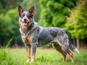 Similar image 22498499