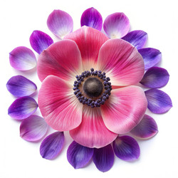 Similar image 22498185