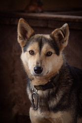 Similar image 22497614