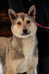 Similar image 22497615