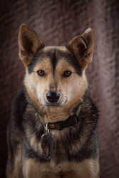 Similar image 22497617