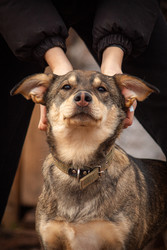 Similar image 22497618