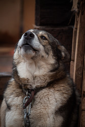 Similar image 22497621