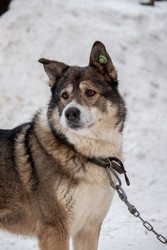 Similar image 22497623