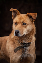 Similar image 22497624