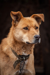 Similar image 22497625