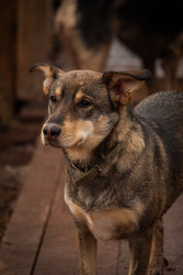 Similar image 22497627