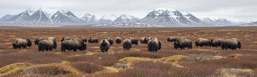 Similar image 22523085