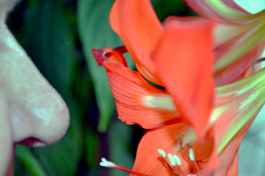 Similar image 22523041