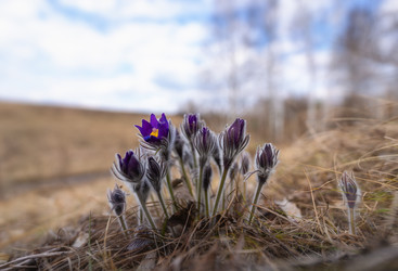 Similar image 22591520