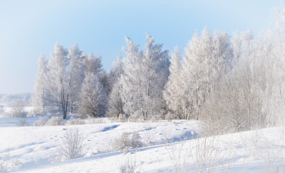 Similar image 22591521