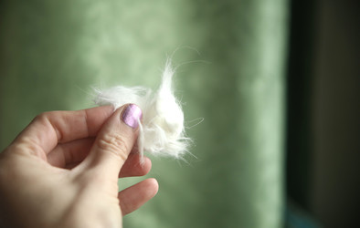 Similar image 22522980