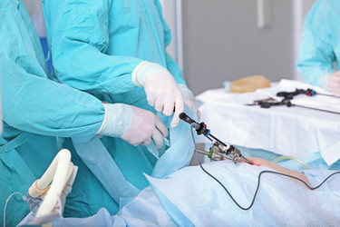 Similar image 22562041