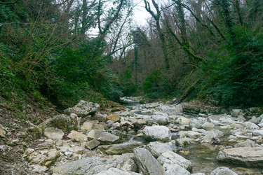 Similar image 22530858