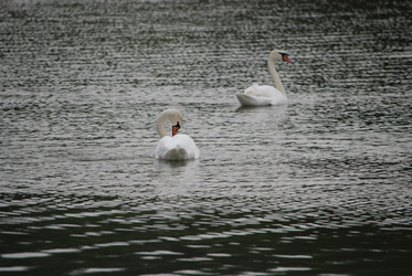 Similar image 22536248