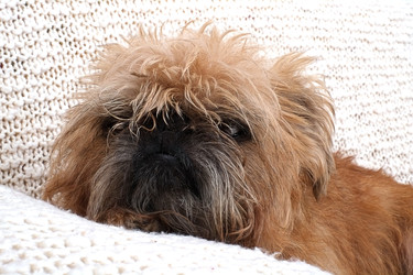 Similar image 22529959