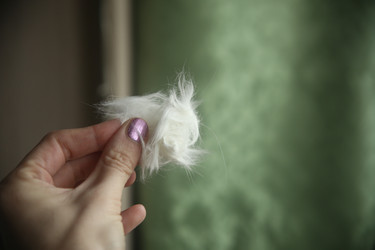 Similar image 22522982