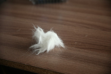 Similar image 22522983