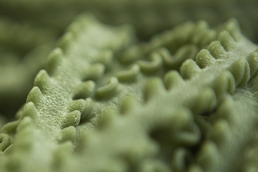 Similar image 22562043