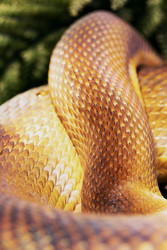 Similar image 22562056