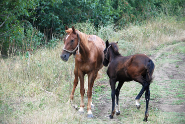 Similar image 22536298