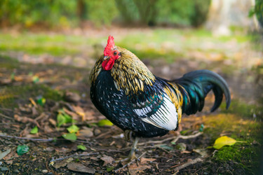 Similar image 22530860