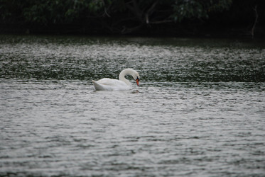 Similar image 22536299