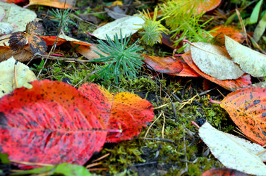 Similar image 22523070