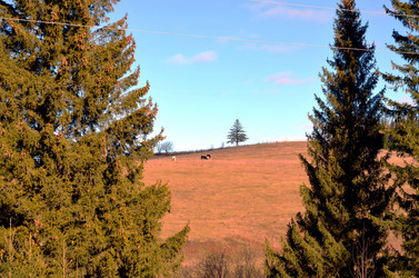 Similar image 22523071