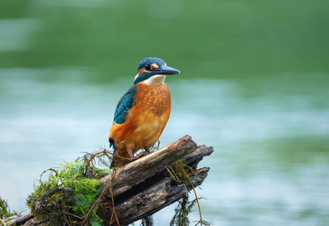 Similar image 22591490