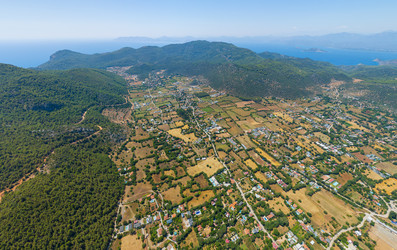 Similar image 22523192