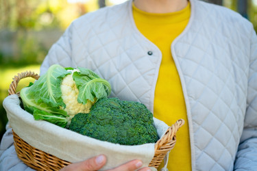 Similar image 22578361