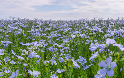 Similar image 22591505