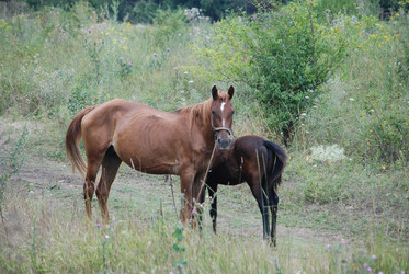 Similar image 22536265