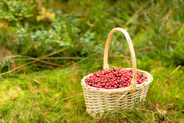 Similar image 22578420