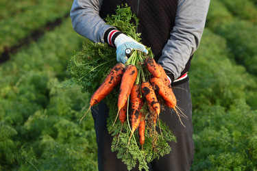 Similar image 22562025