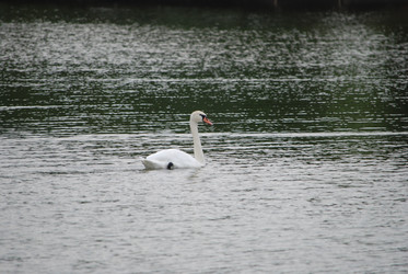 Similar image 22536280