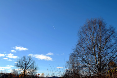 Similar image 22523055