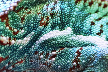 Similar image 22562044