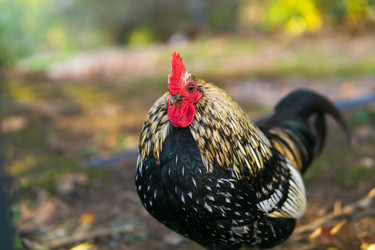 Similar image 22530865