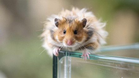 Similar image 22523108