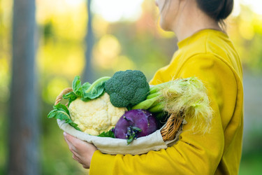 Similar image 22578452