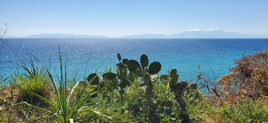 Similar image 22558898