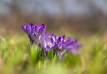 Similar image 22591537