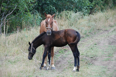 Similar image 22536281