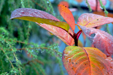 Similar image 22523074