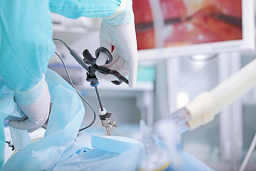 Similar image 22562071