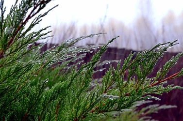 Similar image 22523075