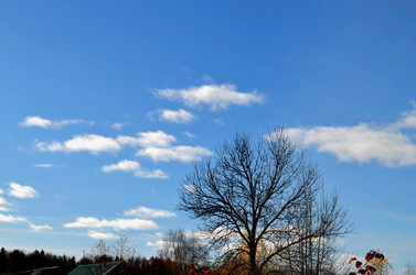 Similar image 22523076