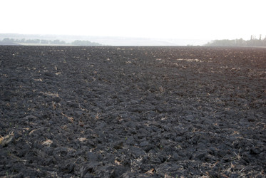 Similar image 22536300